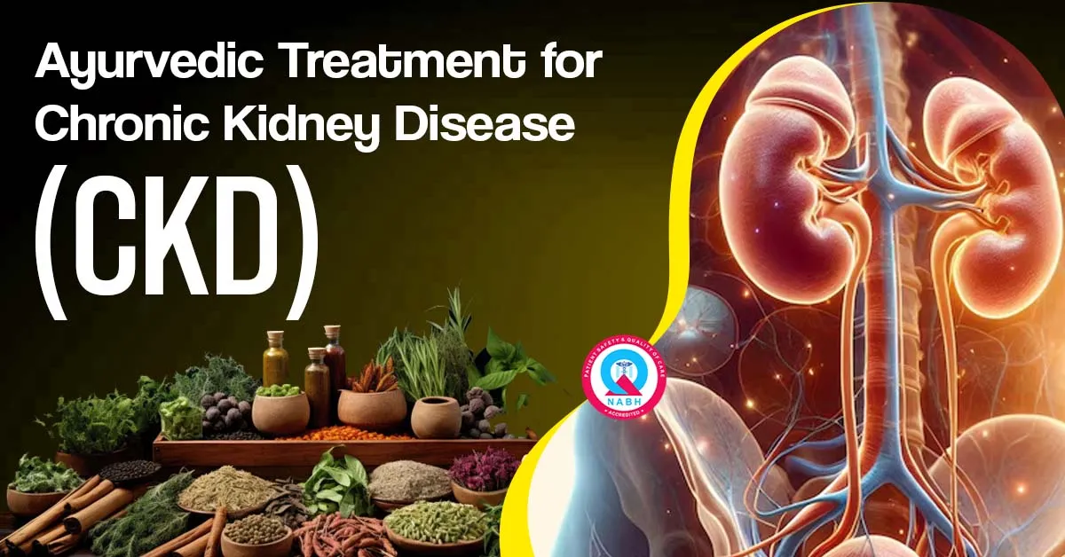 ayurvedic-treatment-for-chronic-kidney-disease-ckd